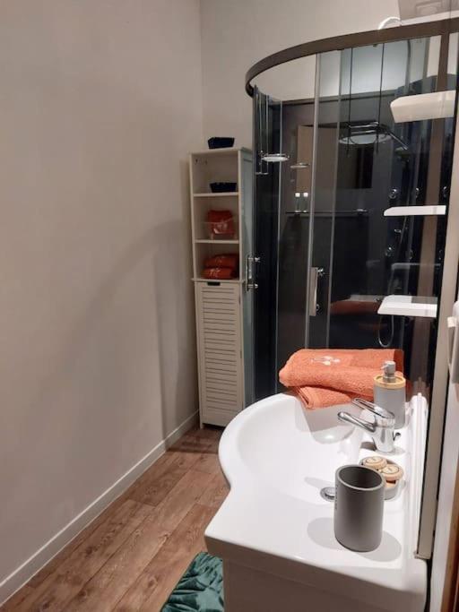 Appartement Proche Des Parcs Vichy Zewnętrze zdjęcie